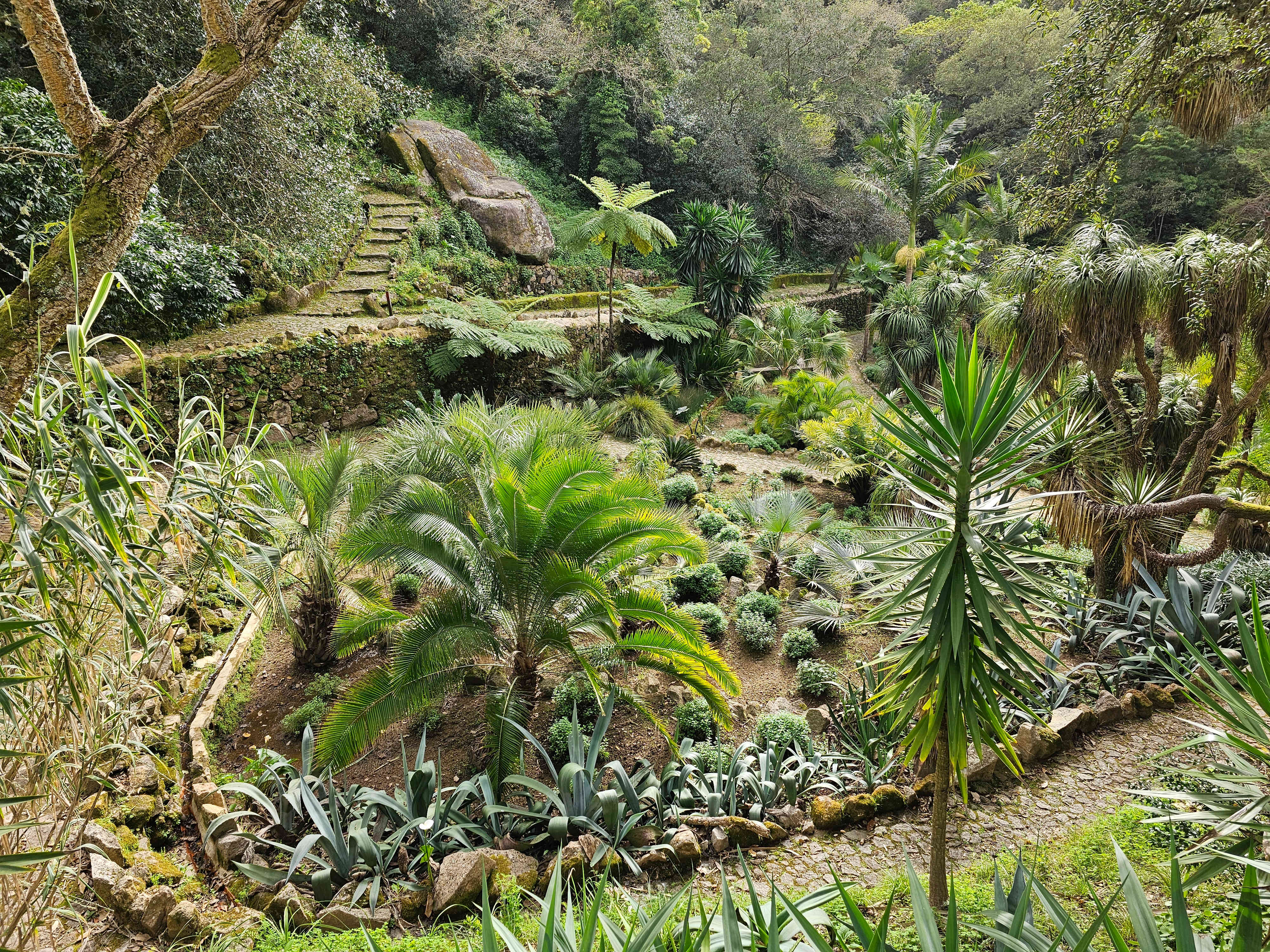 Sintra